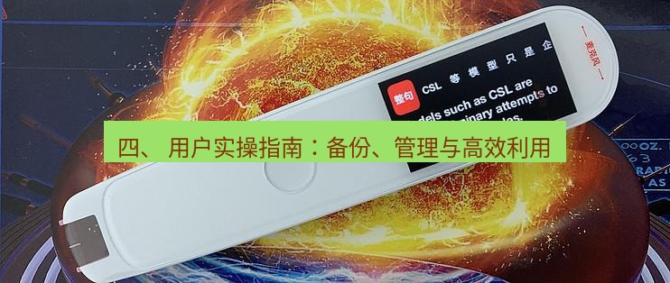有道翻译电脑版 四、 用户实操指南：备份、管理与高效利用