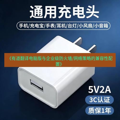 有道翻译电脑版 《有道翻译电脑版与企业级防火墙/网络策略的兼容性配置》