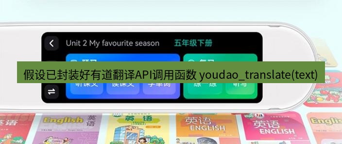 有道翻译电脑版 假设已封装好有道翻译API调用函数 youdao_translate(text)
