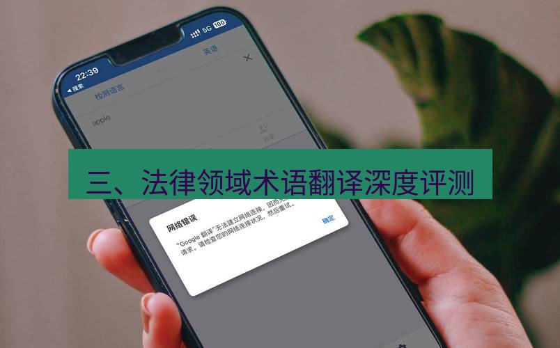 有道翻译电脑版 三、法律领域术语翻译深度评测