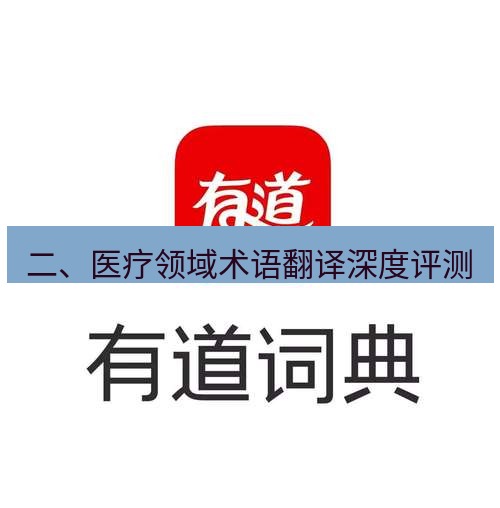 有道翻译电脑版 二、医疗领域术语翻译深度评测