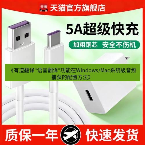 有道翻译电脑版 《有道翻译“语音翻译”功能在Windows/Mac系统级音频捕获的配置方法》