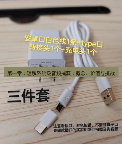 有道翻译电脑版 第一章：理解系统级音频捕获：概念、价值与挑战