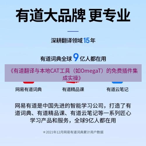 有道翻译电脑版 《有道翻译与本地CAT工具（如OmegaT）的免费插件集成实操》
