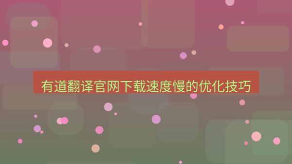 有道翻译官网下载速度慢的优化技巧