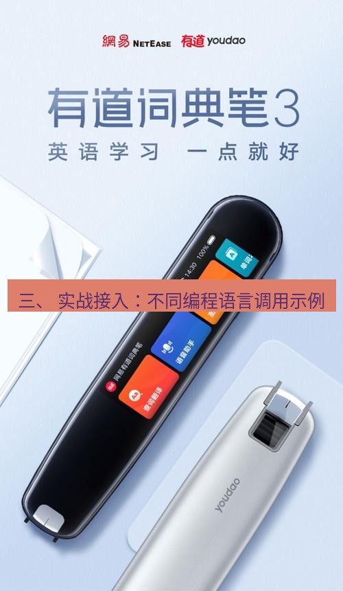 有道翻译电脑版 三、 实战接入：不同编程语言调用示例