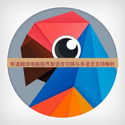 有道翻译电脑版 有道翻译电脑版界面语言切换与多语言支持解析