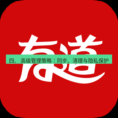 有道翻译电脑版 四、 高级管理策略：同步、清理与隐私保护