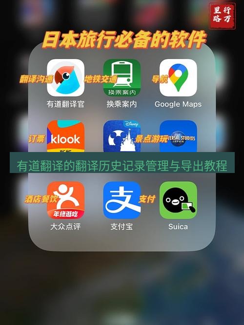 有道翻译电脑版 有道翻译的翻译历史记录管理与导出教程