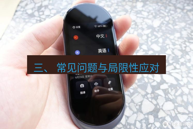 有道翻译电脑版 三、 常见问题与局限性应对