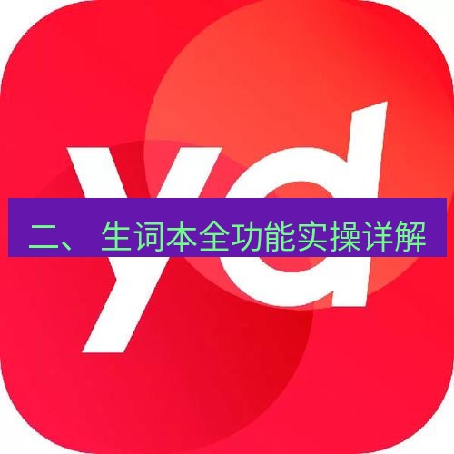 有道翻译电脑版 二、 生词本全功能实操详解