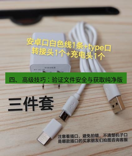 有道翻译电脑版 四、 高级技巧：验证文件安全与获取纯净版