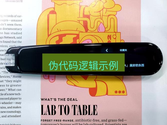 有道翻译电脑版 伪代码逻辑示例
