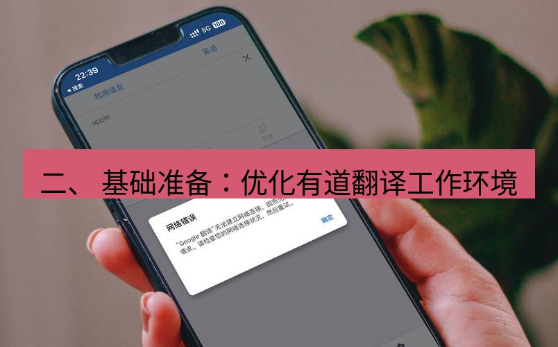 有道翻译电脑版 二、 基础准备：优化有道翻译工作环境