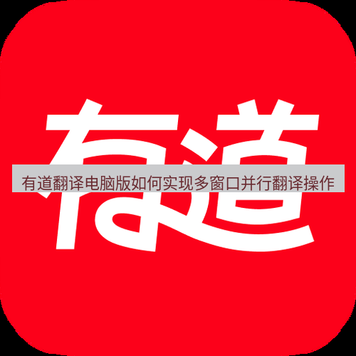 有道翻译电脑版 有道翻译电脑版如何实现多窗口并行翻译操作