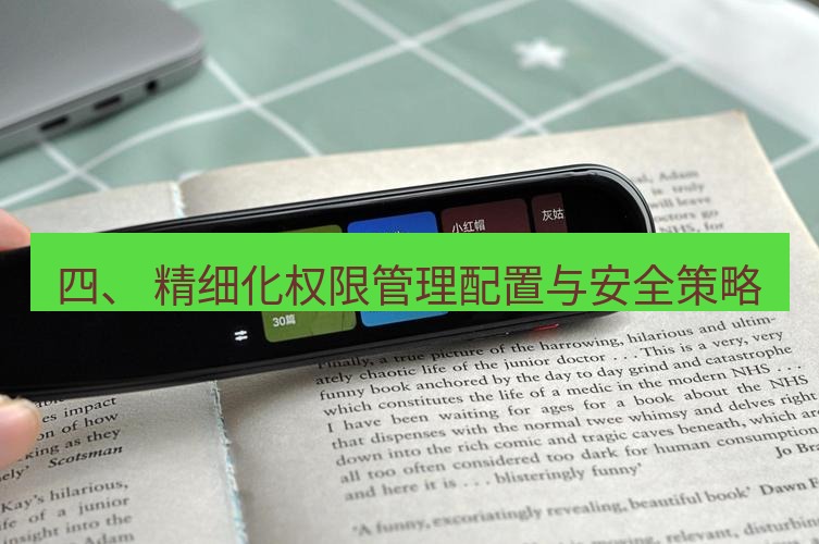 有道翻译电脑版 四、 精细化权限管理配置与安全策略