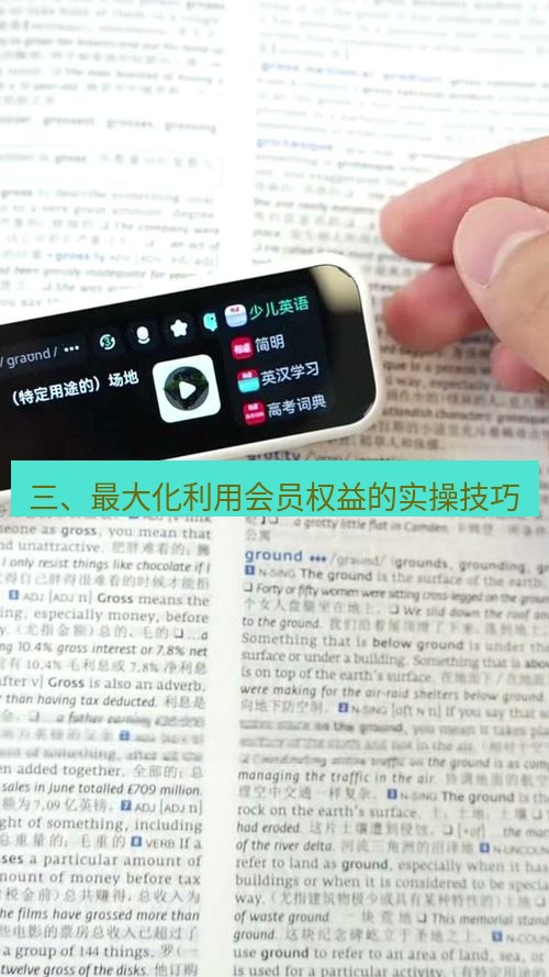 有道翻译电脑版 三、最大化利用会员权益的实操技巧