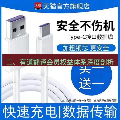 有道翻译电脑版 二、有道翻译会员权益体系深度剖析