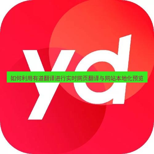 有道翻译电脑版 如何利用有道翻译进行实时网页翻译与网站本地化预览