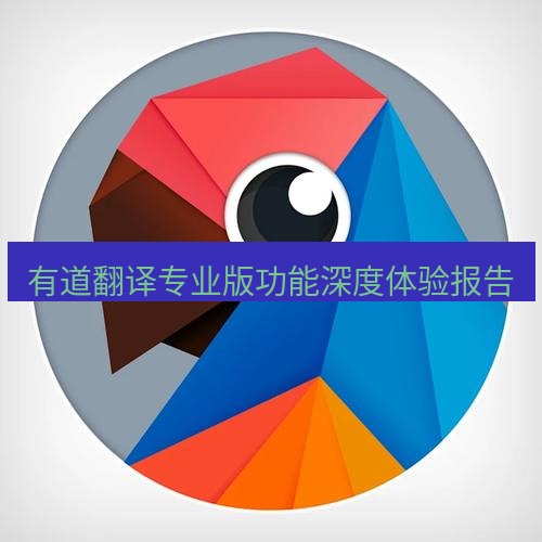 有道翻译电脑版 有道翻译专业版功能深度体验报告