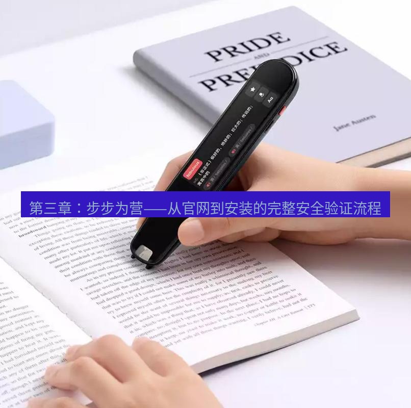 有道翻译电脑版 第三章：步步为营——从官网到安装的完整安全验证流程