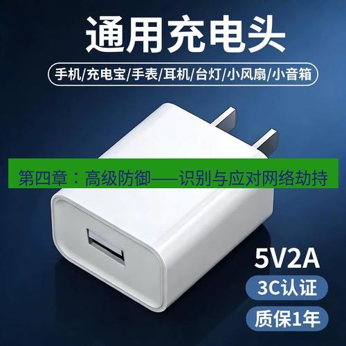 有道翻译电脑版 第四章：高级防御——识别与应对网络劫持