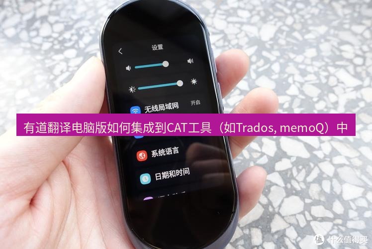 有道翻译电脑版 有道翻译电脑版如何集成到CAT工具（如Trados, memoQ）中