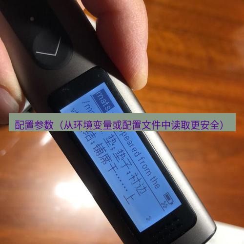 有道翻译电脑版 配置参数（从环境变量或配置文件中读取更安全）