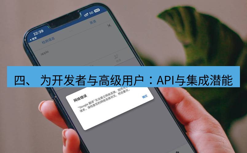 有道翻译电脑版 四、 为开发者与高级用户：API与集成潜能