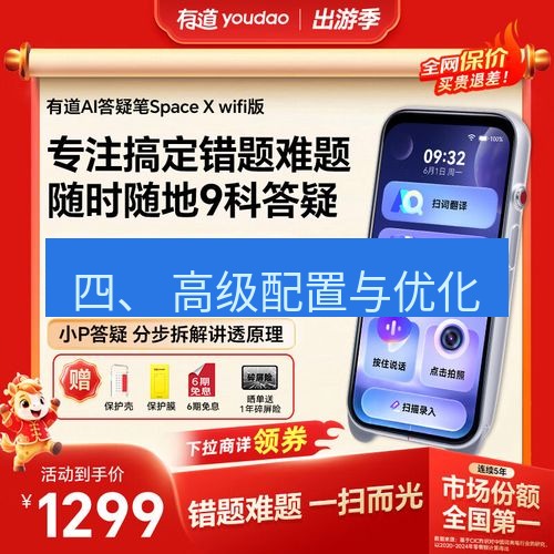有道翻译电脑版 四、 高级配置与优化